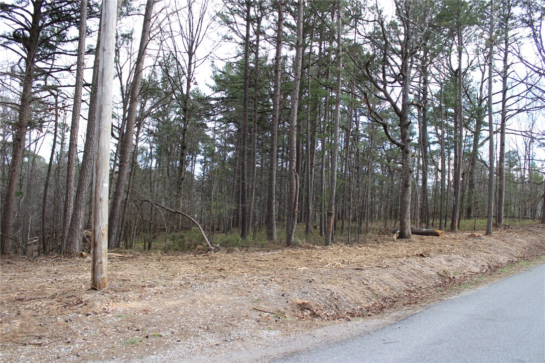 Lots of good street frontage on this parcel with level building areas all along the front. Cavern Dr. has War Eagle Cavern at the end of the street in the cul de sac. Many building possibilities with over 700' of street frontage. Electric at street. Property slopes back into the forest and it looks like there may be a spring at the bottom wandering down to Beaver Lake. Not far from Hobbs Conservation area, War Eagle Mill, Rocky Branch Marina and other Hiking trails. Can take Hwy 12 out to Hwy 23 to travel to Eureka Springs too!