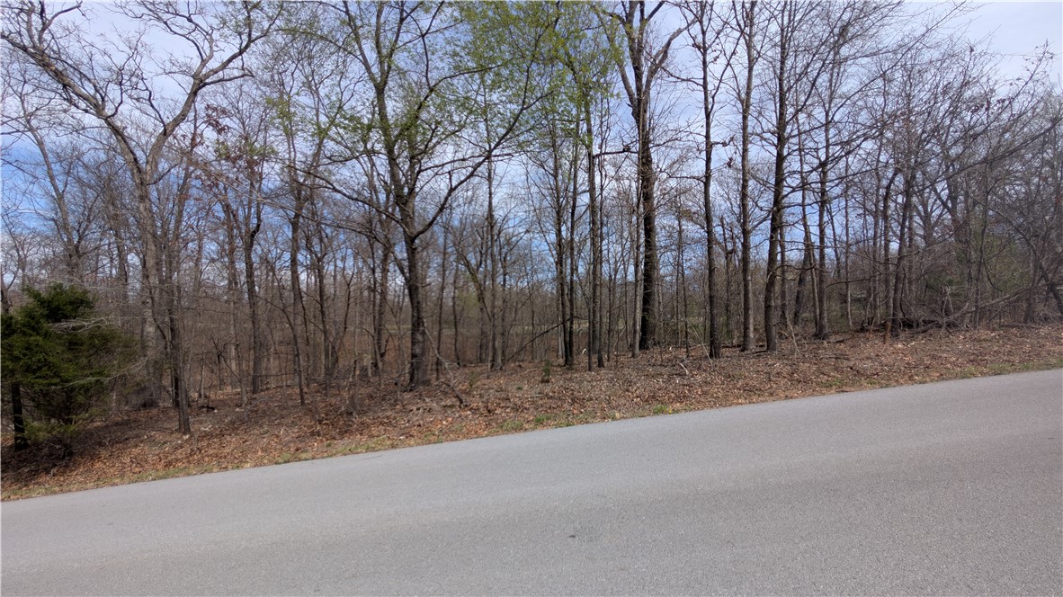 Kirkpatrick Sub Bvv - Land