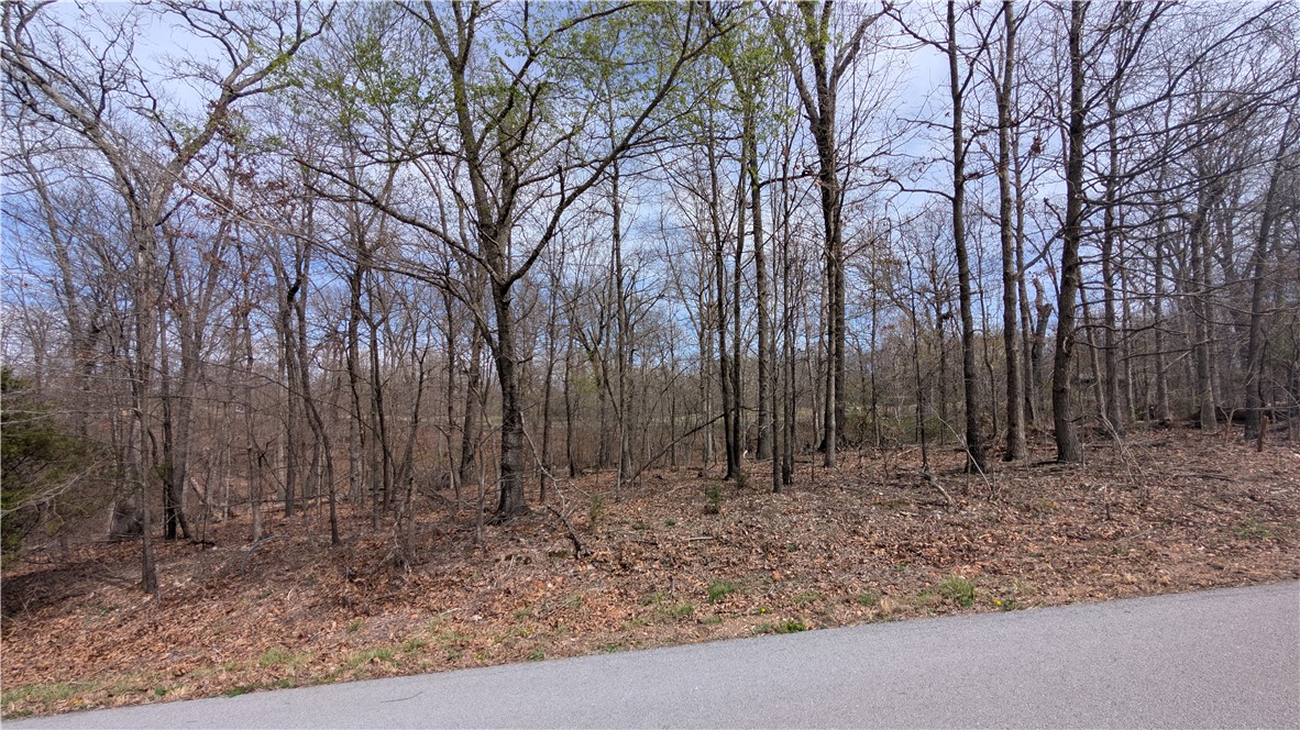 Kirkpatrick Sub Bvv - Land