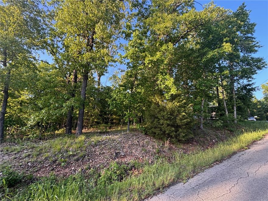 This partially wooded lot offers a gentle slope and the perfect setting for your future home. Backing up to the Bamboozled Bike Trail, it’s an ideal spot for outdoor enthusiasts or anyone seeking a peaceful, nature-filled backdrop. Enjoy privacy and beautiful surroundings with an incredible opportunity to build in a highly desirable location.