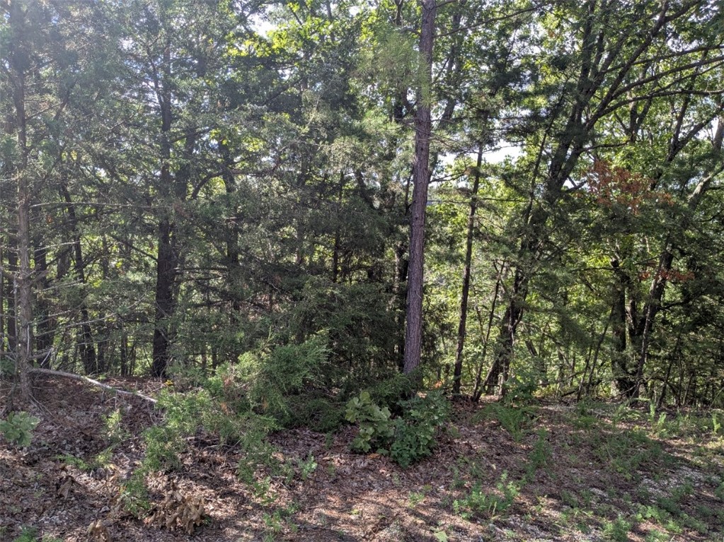 Unit 7 Holiday Island - Land