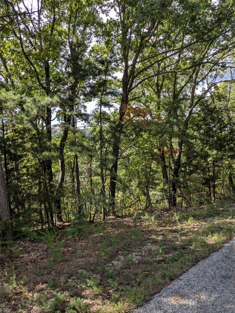 Unit 7 Holiday Island - Land