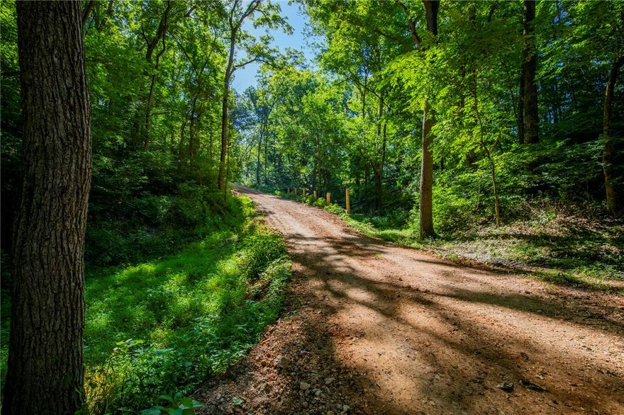 Outdoor enthusiasts - This land is like a scene from a movie & you must experience it in person! Unbelievably gorgeous landscape w/ so much potential. Only 10 mins to Rogers, 20 mins to Bentonville, & close to Beaver Lake. No land restrictions – create your own MTB trails, hunt, ATV, or hike. The land starts off w/ a treetop canopy drive leading you to a large “upper section” of flat, buildable land surrounded by woods w/ a pond & an orchard. The “upper section” overlooks the pastureland where cows can graze, & see those beautiful Ozark views. A driveway leads you to the “lower section” of the land which has a second access point from Sugar Creek Rd. Sugar Creek runs thru the “lower section”. Swim & relax by the water catching crawdads. A natural spring produces water year-round. Successfully perc’d for a septic system. Electricity & a 660’ well is on site, water available at the street & it is fully fenced. Build your dream home, family farm, or develop a neighborhood. Endless opportunities! Watch the video tour!