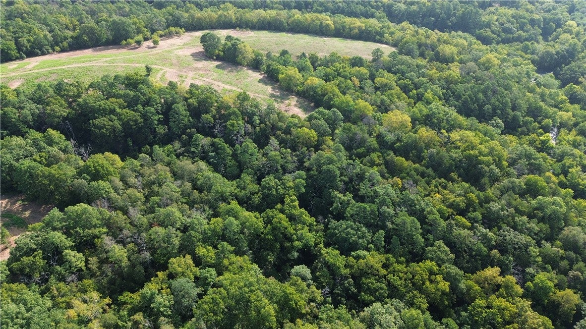 1029 Bear Hollow Road