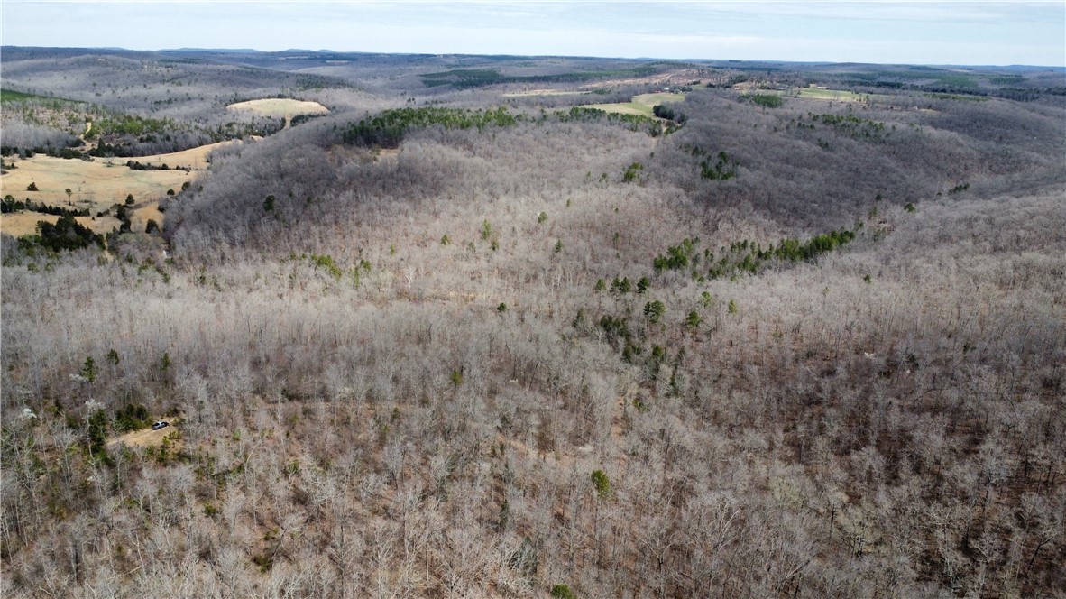 Discover the natural beauty and recreational potential of this 60-acre hardwood timber tract located just 5.3 miles north of Clinton, Arkansas. Nestled between two scenic ridges and split by a wet-weather creek that feeds directly into Weaver Creek, this property offers a combination of seclusion, water access, and wildlife habitat.
Property Highlights:
- 60 acres of hardwoods on north-facing slopes
- Over 1/4 mile of frontage on Weaver Creek, featuring a crystal-clear swimming hole
- Mini waterfalls
- Wet-weather creek feeding into Weaver Creek
- Floatable access: Seller says you can float from the property all the way to Greers Ferry Lake during high water
- Drilled water well near Weaver Creek, perfect for a future cabin or retreat site
- Power line easement in place for easy electric access
- Located just 1/2 mile north of Holley Mountain Air Park on Holley Mountain Road
- Abundant wildlife, including deer, turkey, and occasional black bear sightings