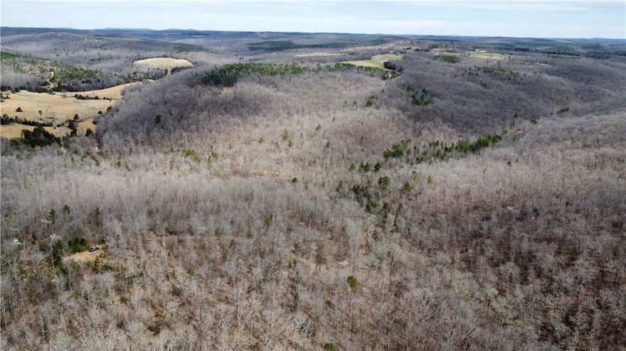 Discover the natural beauty and recreational potential of this 60-acre hardwood timber tract located just 5.3 miles north of Clinton, Arkansas. Nestled between two scenic ridges and split by a wet-weather creek that feeds directly into Weaver Creek, this property offers a combination of seclusion, water access, and wildlife habitat.

Property Highlights:

- 60 acres of hardwoods on north-facing slopes

- Over 1/4 mile of frontage on Weaver Creek, featuring a crystal-clear swimming hole

- Mini waterfalls 

- Wet-weather creek feeding into Weaver Creek

- Floatable access: Seller says you can float from the property all the way to Greers Ferry Lake during high water

- Drilled water well near Weaver Creek, perfect for a future cabin or retreat site

- Power line easement in place for easy electric access

- Located just 1/2 mile north of Holley Mountain Air Park on Holley Mountain Road

- Abundant wildlife, including deer, turkey, and occasional black bear sightings