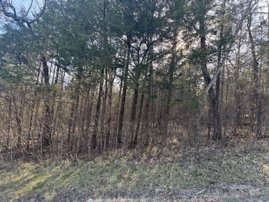 Excellent building lot for that forever home or weekend get-a-way. Almost half an acres on this gently sloped lot, at the corner of Cottonwood Lane and Table Rock Dr, and a very short distance to the main thoroughfare, State-line Drive. All utilities are at the street saving you literally thousands in hook up fees.
