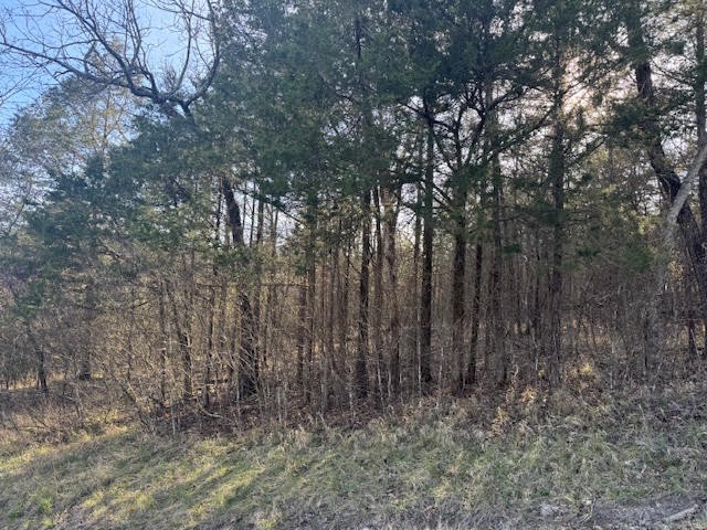 Unit 5 Holiday Island - Land