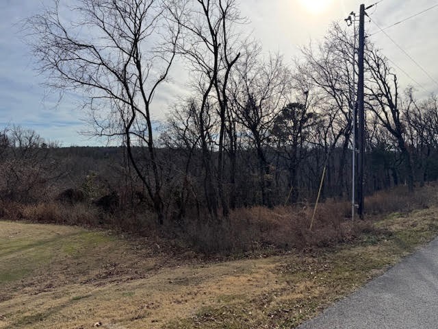 Unit 5 Holiday Island - Land