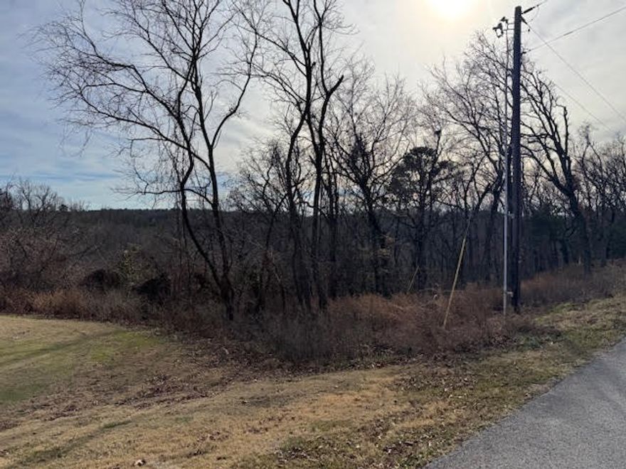 Excellent building lot for that forever home or weekend get-a-way. Almost half an acres on this gently sloped lot, at the corner of Cottonwood Lane and Table Rock Dr, and a very short distance to the main thoroughfare, State-line Drive. All utilities are at the street saving you literally thousands in hook up fees.