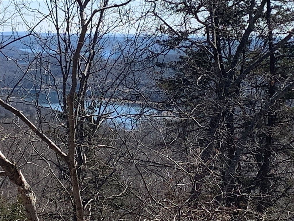Great opportunity to build a dream home with a great view of Beaver Lake. The lot is located above the Lost Bridge airstrip.