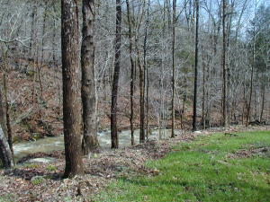 Nice 8 acres m/l tract with a nice building spot already cleared and ready to build above the creeks. County road frontage for easy access. Electric on site and rural water is available. 2 seasonal creeks on property. More land available adjacent to this lot. Total acreage available - 103 acres.
