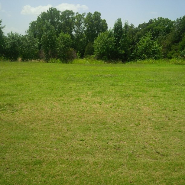Falcon Ridge - Residential Lease