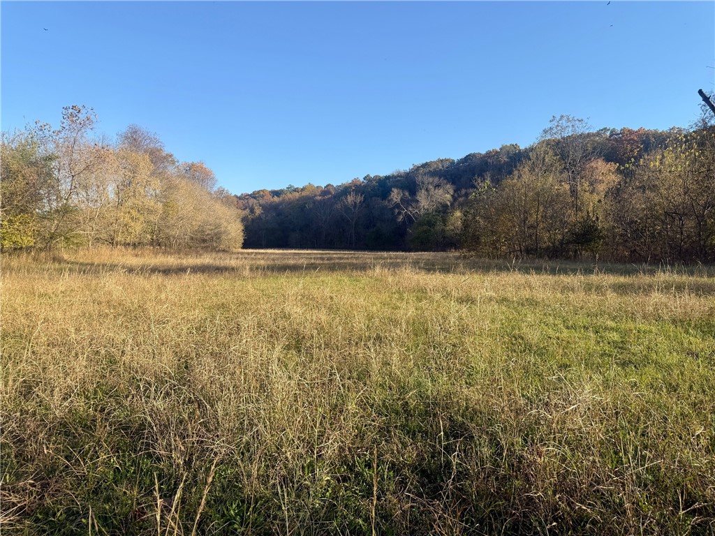 11-20-29-RURAL - Land