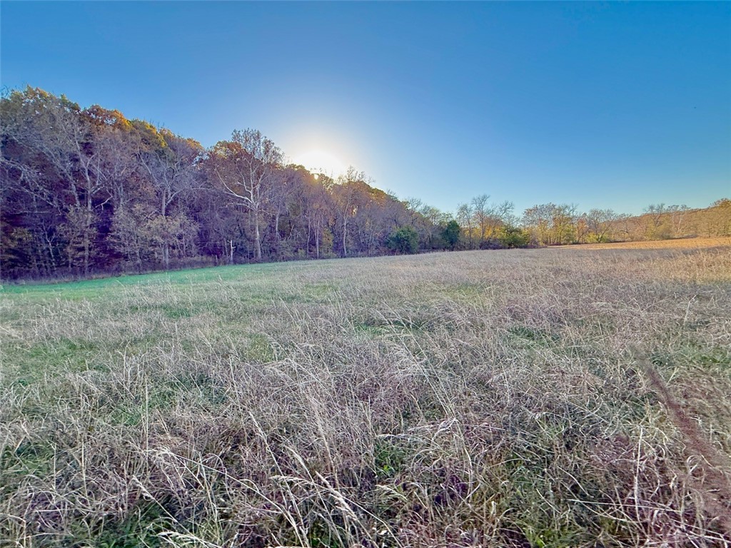 11-20-29-RURAL - Land