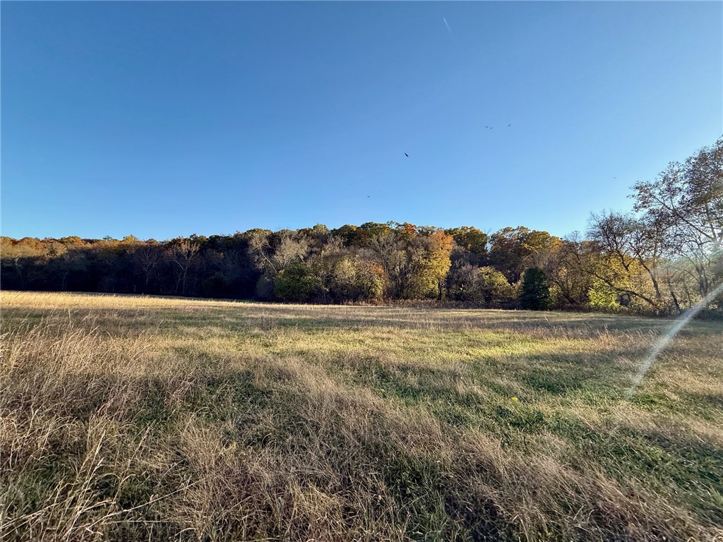 11-20-29-RURAL - Land