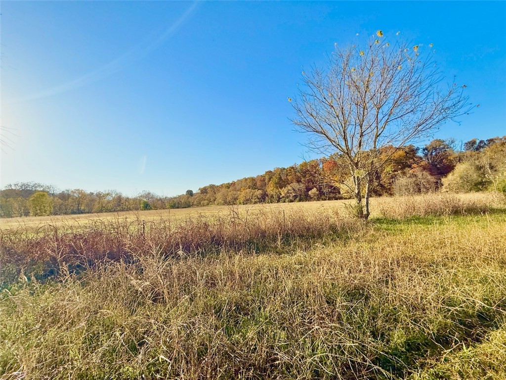 11-20-29-RURAL - Land