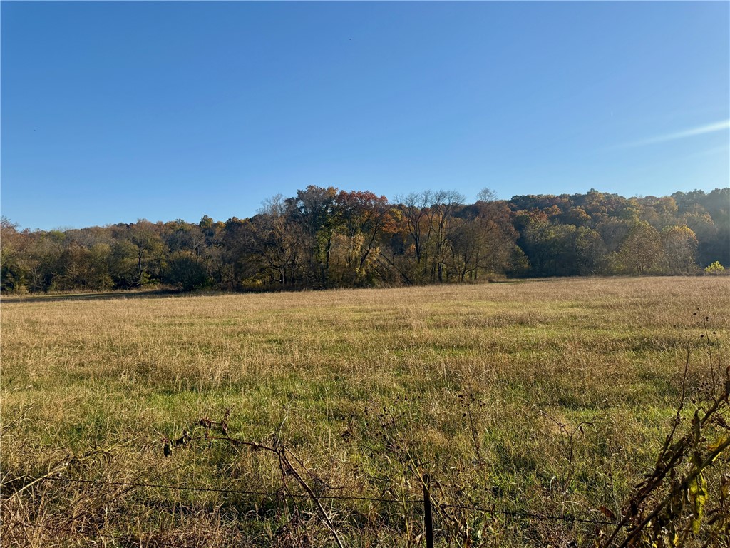 11-20-29-RURAL - Land