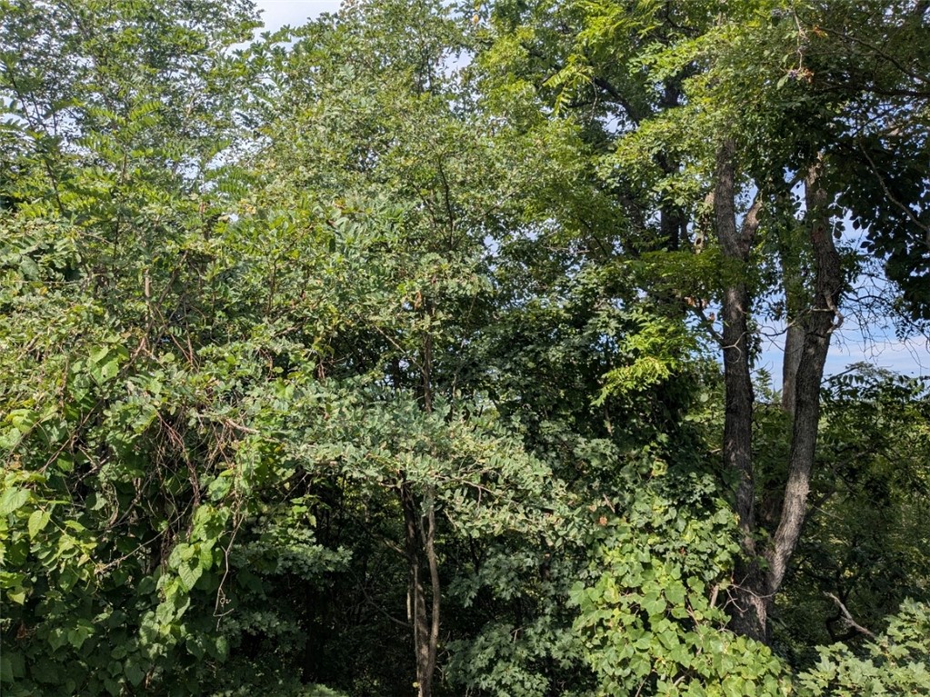 Unit 13 Holiday Island - Land