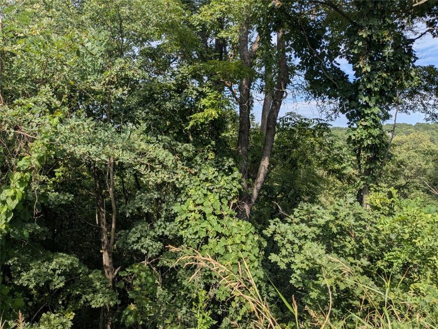 Ready to build your dream home? Near the main entrance, your new property is walking distance from the Holiday Island Country Club and golf course. Quiet and gently wooded with beautiful views, this elevated lot offers the best of both worlds. Enjoy the amenities in Holiday Island like golf courses, a country club, swimming, tennis and a marina with a fishing dock or watch the local fauna from your front porch! Nearby Eureka Springs or Rogers offers great shopping and vibrant cultural hubs.