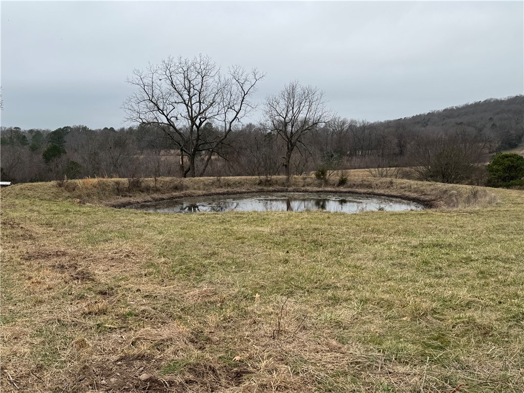 12.24 Acres plus a pond! Part of 110 Acres that can be split in multiple ways for bigger tracts. Lots of county road frontage. Property on both sides of the road. Beautiful home building sites. Well & Septic needed. Beautiful views. Some pasture, some woods. 15 minutes from Harp's parking lot in Lincoln. Subject to split approvals. Soil test has been done. Agent owned. See also MLS 1322634-1322638