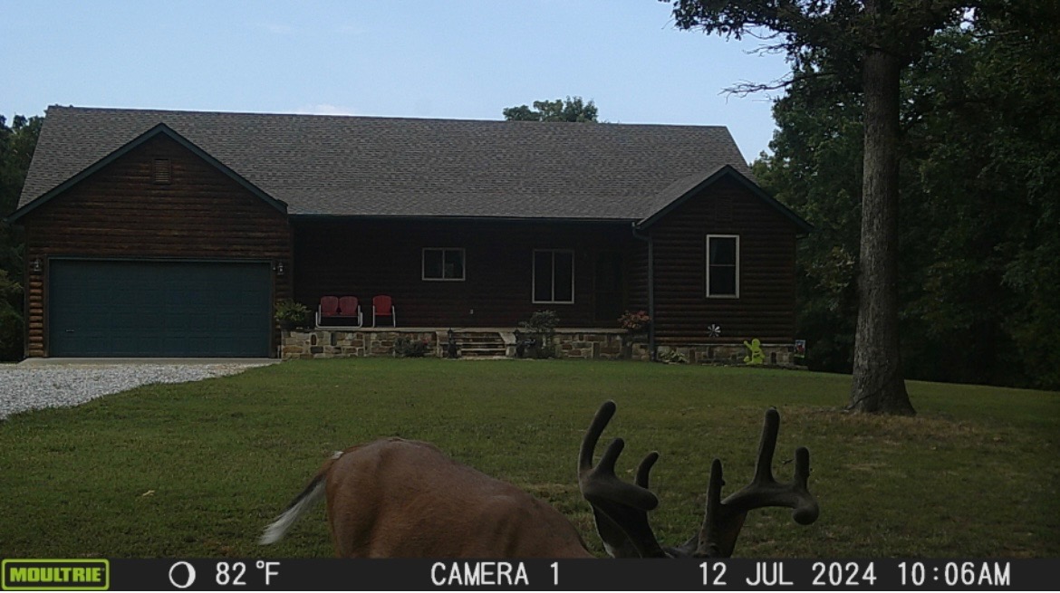 NO - Residential