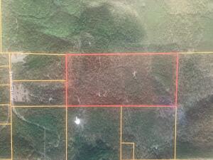 SURROUNDED BY USA NATIONAL FOREST---THIS UNTOUCHED, TIMBERED LAND IS THE PERFECT SECLUDED PARADISE! Avid hunters needed. Wilderness at its best-only neighbors will be the deer, turkey, bears, etc. Restore your soul in this hidden sanctuary!