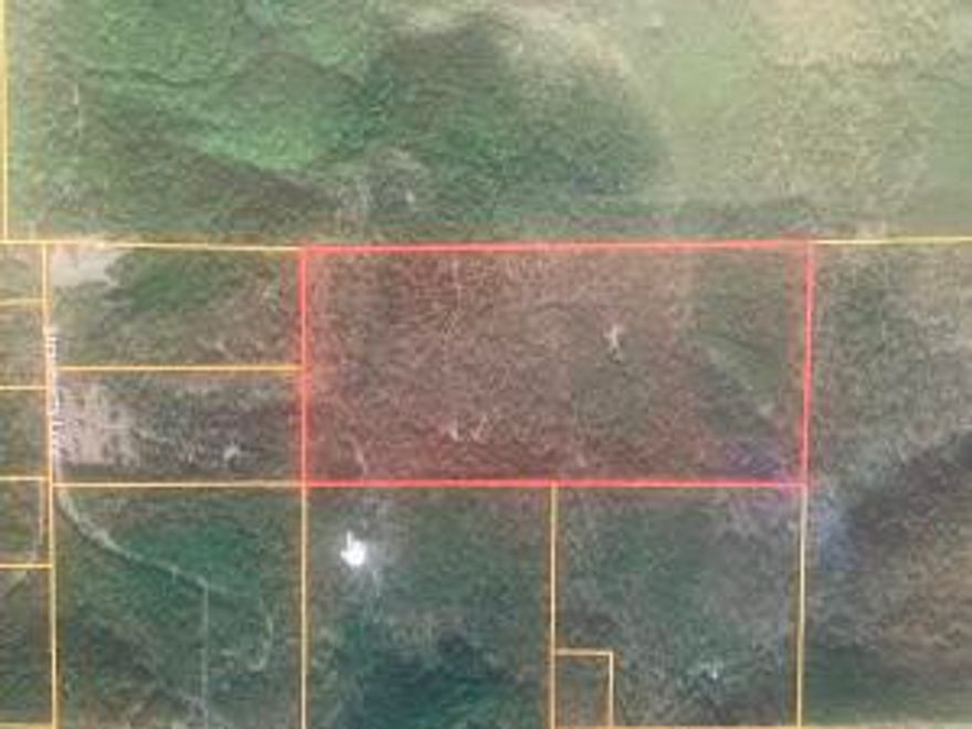 SURROUNDED BY USA NATIONAL FOREST---THIS UNTOUCHED, TIMBERED LAND IS THE PERFECT SECLUDED PARADISE!  Avid hunters needed. Wilderness at its best-only neighbors will be the deer, turkey, bears, etc. Restore your soul in this hidden sanctuary!