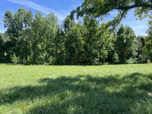 Have you been looking for small acreage that isn't too far from town? These tracts feel very secluded and private but are only 10 miles to Harrison, 11 miles to Compton, & 19 miles to Ponca. Nice building spots that would make a great location for an off-grid cabin, nightly rental, or your forever home. Some tracts have Terrapin Creek access, while others boast incredible bluff lines and views, county road frontage, and even an old home place. Tract 1 is 6.56 acres.