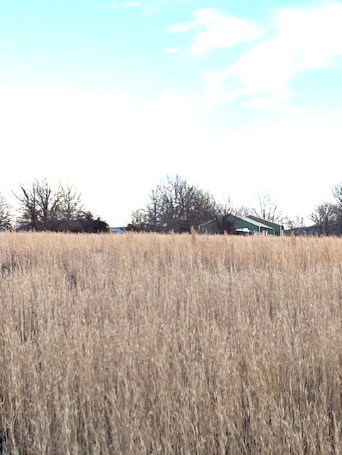 PRAIRIE GROVE OUTLOTS - Land