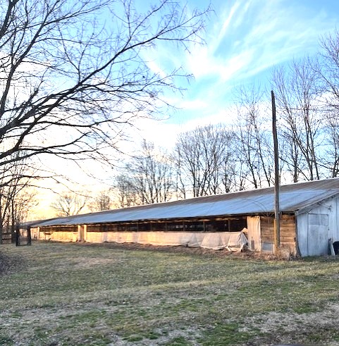 PRAIRIE GROVE OUTLOTS - Land