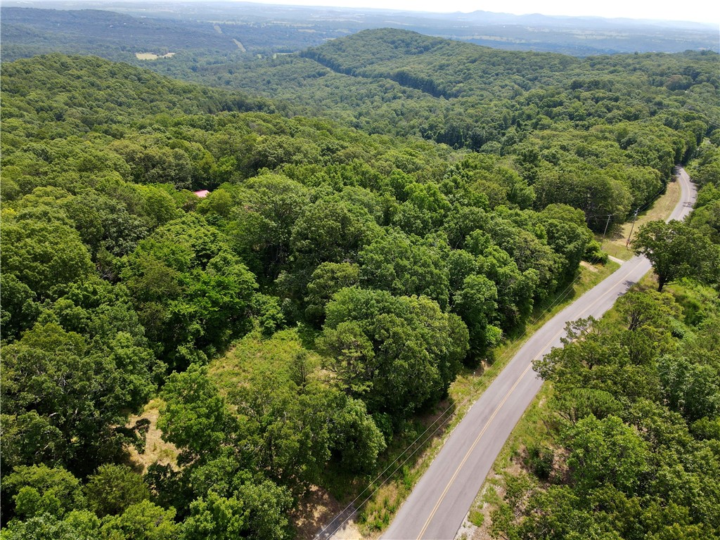 87+/- Acres with Paved Road Access, Cabin, Spring, and Mountain Views
This amazing ozark beauty is just 6± minutes from the iconic town of Eureka Springs. With paved road frontage and easy access year-round, this property offers a unique blend of natural features, comfortable living, and development potential. Tucked into the rolling terrain is a charming mountain view cabin that serves as a peaceful retreat. From its vantage point, enjoy sweeping views of the surrounding mountains, forests and valley below. The land itself is rich with natural resources and ready for exploration. A well-established trail system winds through mature oak timber, leading to multiple build-sites with electric running along the paved road, making it ideal for a family estate, vacation rental development, or investment project. A pond provides a peaceful spot for wildlife viewing or quiet reflection, while the impressive shelter bluff cave adds a dramatic and rare geological feature to this already diverse property.