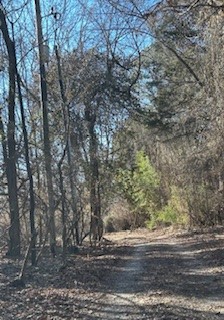 17-16-30 Fayetteville Outlots - Residential