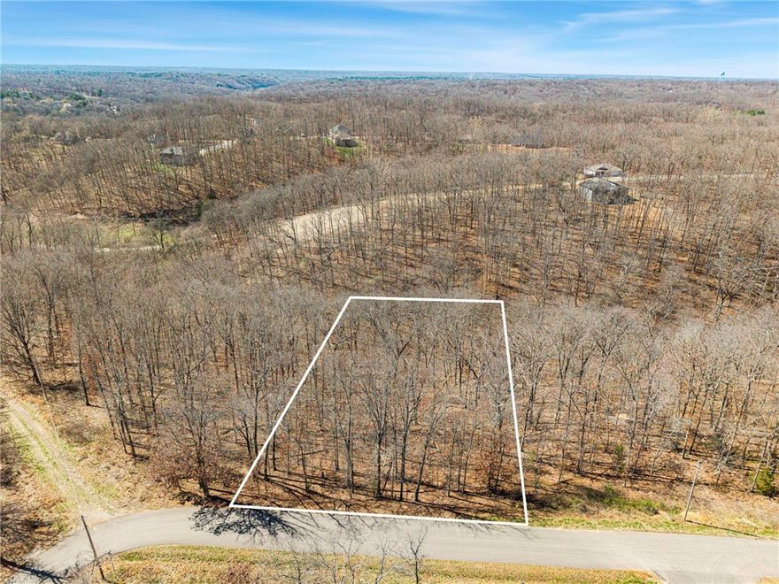 A beautiful wooded lot located on the east side of Bella Vista. Nature lovers will be able to embrace the opportunity to build your dream home or investment property. Minutes from all the amenities that Bella Vista has to offer, including the Back 40 Trail, walking and biking trails. Buyer to verify availability of utilities. Property has not been perc tested for septic information.