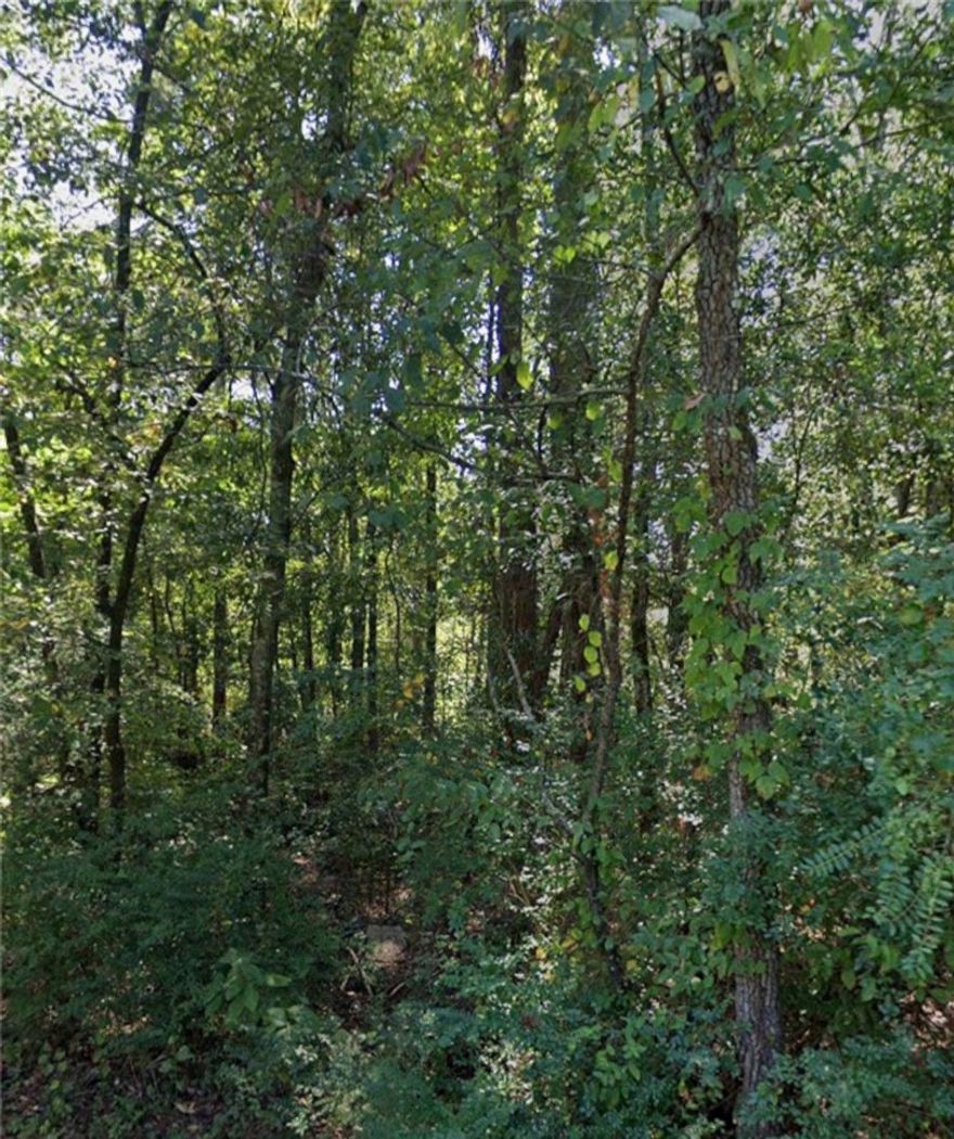 Build a new home or place a small, manufactured home on this .14 (+/-) acre lot in Pine Bluff. It is only minutes from local amenities and just a short drive to Lake Saracen and the resort. Call or text for more information.