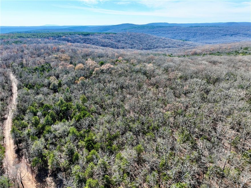 Secluded Boston Mountain retreat between Fayetteville and Fort Smith, surrounded by the Ozark–St. Francis National Forest. Features mature hardwoods, a game management pond, old rock walls, and flat to gently rolling terrain. Ideal for hunting and recreation with abundant deer, bear, and turkey. Private Forest Service Road access and exceptional investment potential.