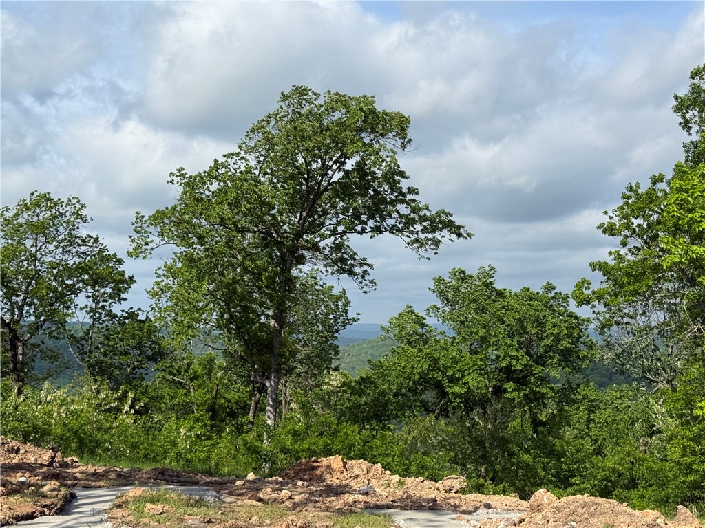 Unit 11 Holiday Island - Land