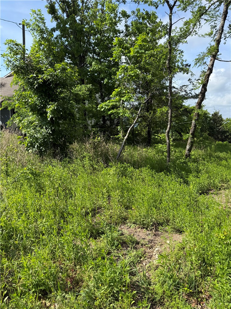 Unit 11 Holiday Island - Land