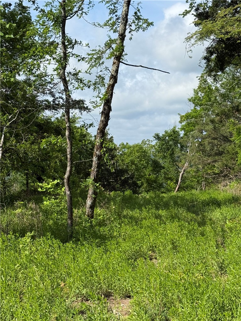 Unit 11 Holiday Island - Land