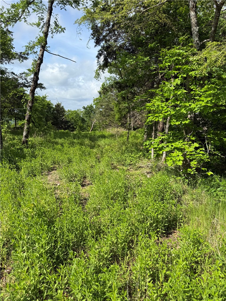 Unit 11 Holiday Island - Land