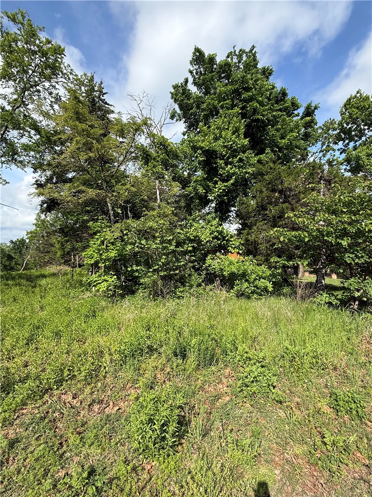 Unit 11 Holiday Island - Land