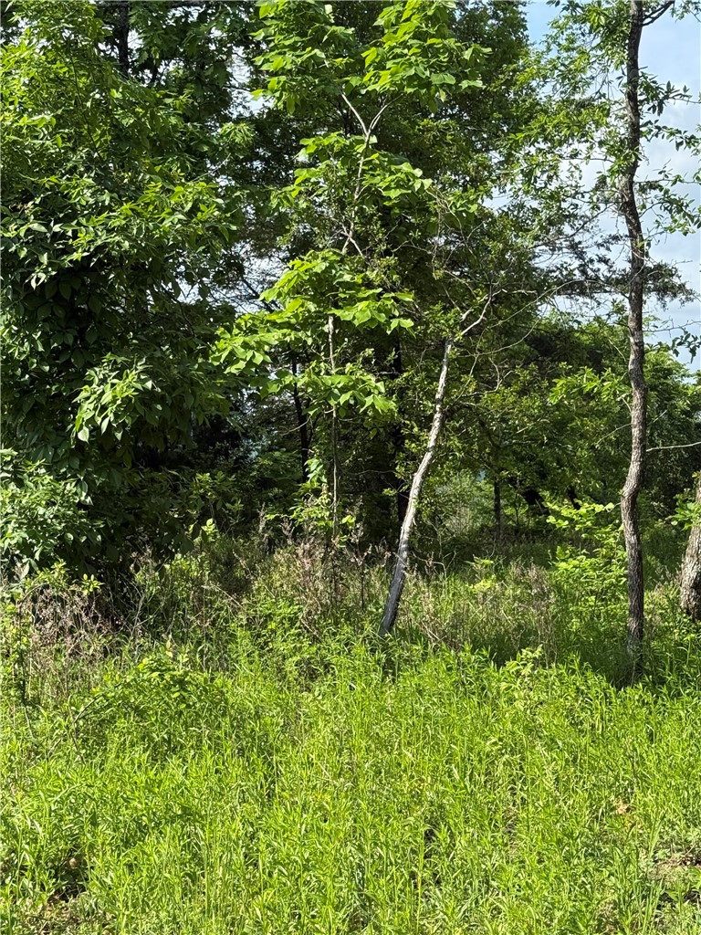 Unit 11 Holiday Island - Land