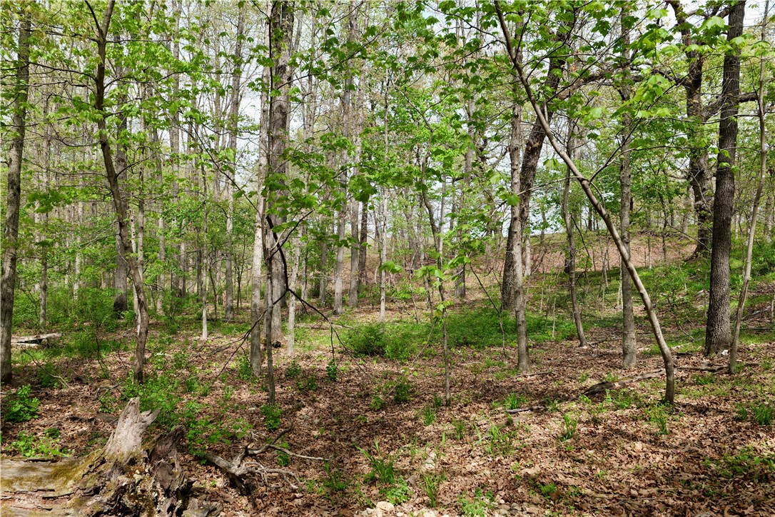 Ozark Estates - Land