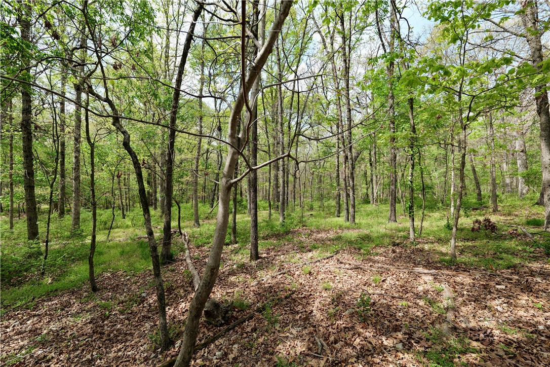 Ozark Estates - Land