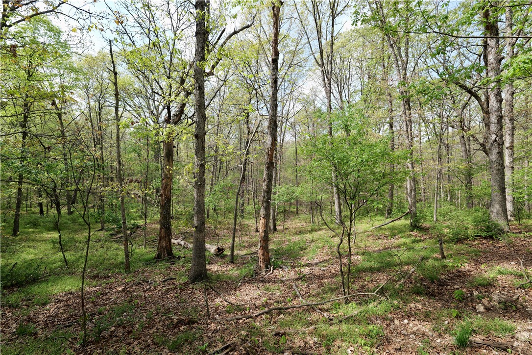 Ozark Estates - Land