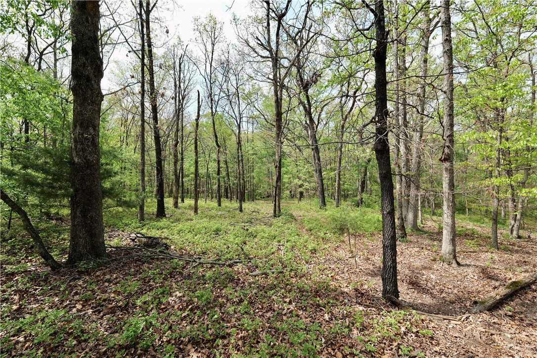 Ozark Estates - Land