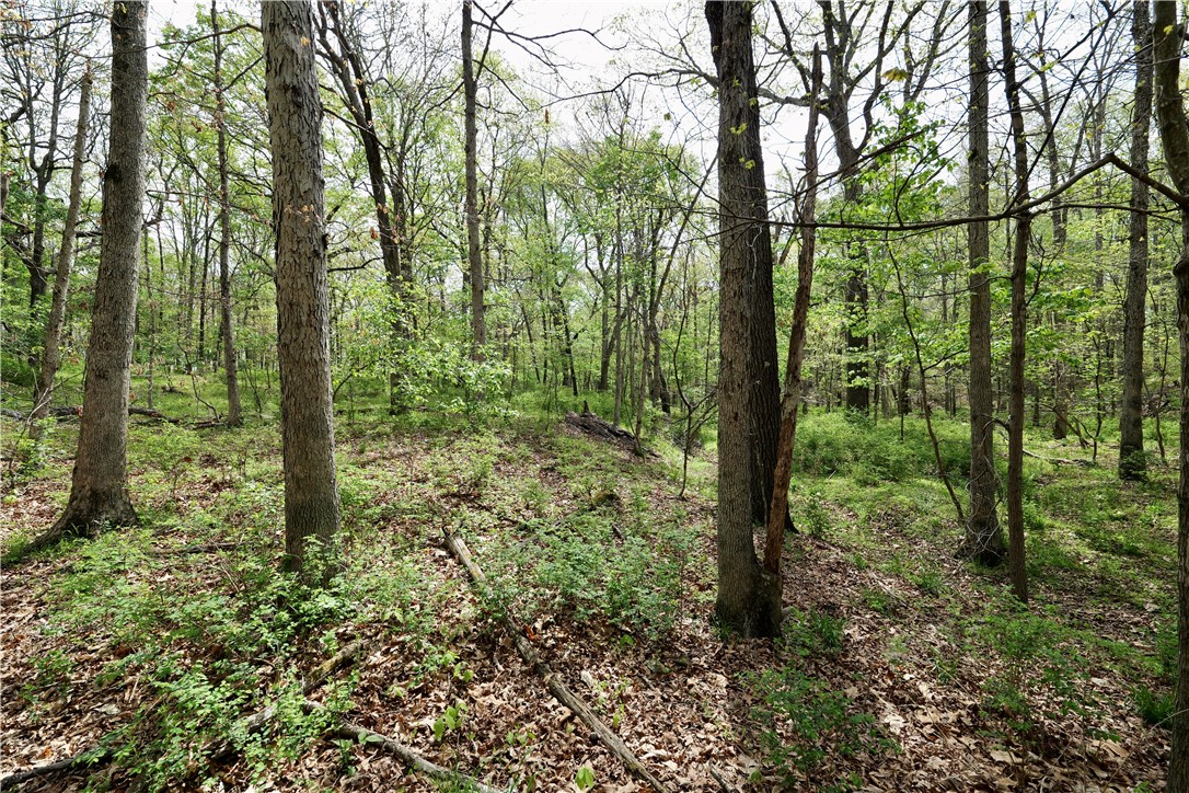 Ozark Estates - Land