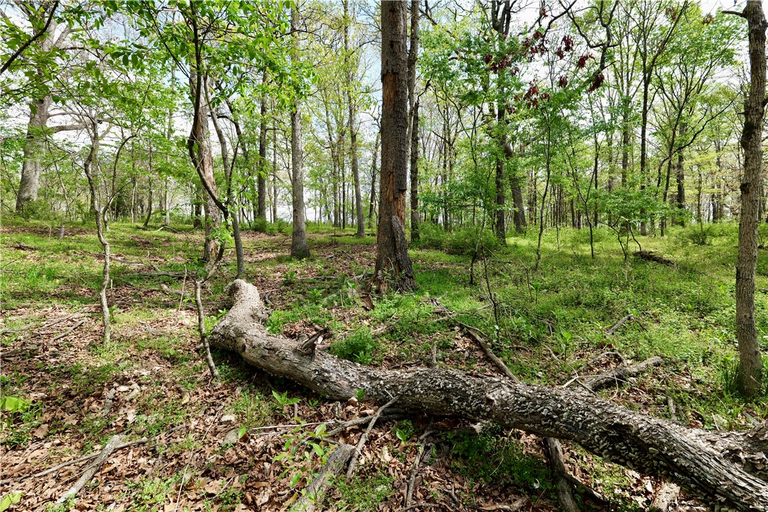 Ozark Estates - Land