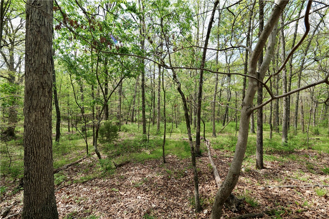 Ozark Estates - Land