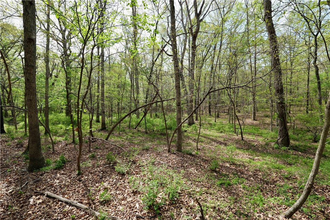 Ozark Estates - Land